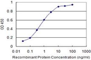 Detection limit for recombinant GST tagged LBX2 is 0. (LBX2 anticorps  (AA 95-194))