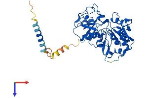 AlphaFold protein structure predicition of Human Recombinant FUT9 Protein, UniprotID Q9Y231