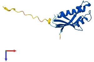 AlphaFold protein structure predicition of Mouse Recombinant Rpl31 Protein, UniprotID P62900
