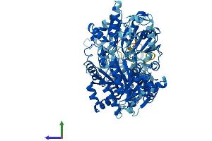 AlphaFold protein structure predicition of Mouse Recombinant Ercc2 Protein, UniprotID O08811