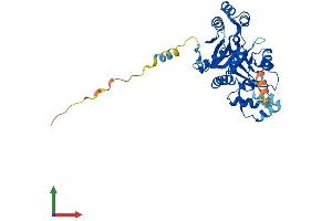 AlphaFold protein structure predicition of Mouse Recombinant Nt5c1a Protein, UniprotID A3KFX0