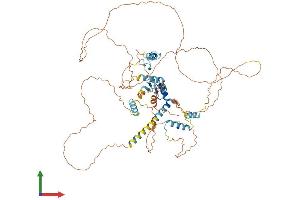AlphaFold protein structure predicition of Human Recombinant ZMAT1 Protein, UniprotID Q5H9K5