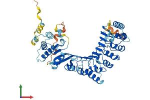 AlphaFold protein structure predicition of Human Recombinant PRAMEF12 Protein, UniprotID O95522