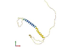 AlphaFold protein structure predicition of Mouse Recombinant Kcne4 Protein, UniprotID Q9WTW3