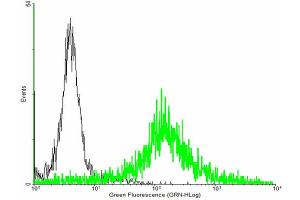 FACS analysis of negative control 293 cells (Black) and EVI2A expressing 293 cells (Green) using EVI2A purified MaxPab mouse polyclonal antibody.