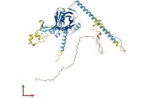 AlphaFold protein structure predicition of Mouse Recombinant Ppan Protein, UniprotID Q91YU8