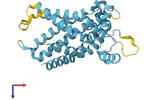 AlphaFold protein structure predicition of Human Recombinant SLC25A45 Protein, UniprotID Q8N413