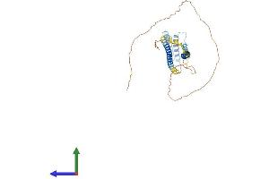 AlphaFold protein structure predicition of Human Recombinant DSN1 Protein, UniprotID Q9H410