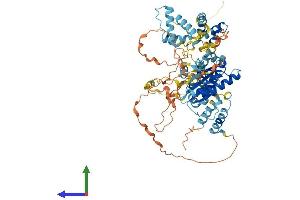 AlphaFold protein structure predicition of Human Recombinant TIGD5 Protein, UniprotID Q53EQ6