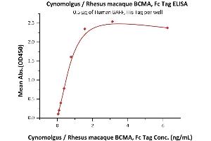 Immobilized Human BAFF, His Tag (ABIN4949073,ABIN4949074) at 5 μg/mL (100 μL/well) can bind Cynomolgus / Rhesus macaque BCMA, Fc Tag (ABIN5674614,ABIN6253713) with a linear range of 0.