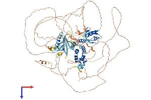 AlphaFold protein structure predicition of Mouse Recombinant Rgs3 Protein, UniprotID Q9DC04