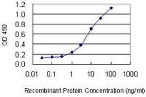 Detection limit for recombinant GST tagged MIPOL1 is 0. (MIPOL1 anticorps  (AA 321-423))