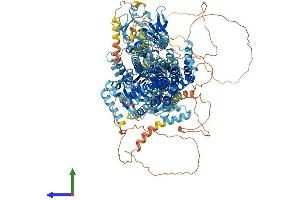 AlphaFold protein structure predicition of Human Recombinant ATP10D Protein, UniprotID Q9P241