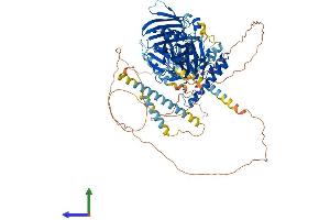 AlphaFold protein structure predicition of Human Recombinant OSBPL5 Protein, UniprotID Q9H0X9