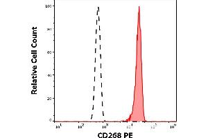 Separation of human CD268 positive lymphocytes (red-filled) from neutrophil granulocytes (black-dashed) in flow cytometry analysis (surface staining) of human peripheral whole blood stained using anti-human CD268 (11C1) PE antibody (10 μL reagent / 100 μL of peripheral whole blood). (TNFRSF13C anticorps  (PE))