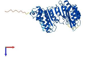AlphaFold protein structure predicition of Human Recombinant FBXO39 Protein, UniprotID Q8N4B4