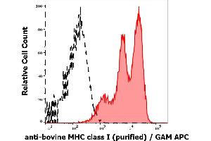 Separation of bovine lymphocytes stained using anti-bovine MHC Class I (IVA26) purified antibody (concentration in sample 10 μg/mL, GAM APC, red-filled) from bovine lymphocytes unstained by primary antibody (GAM APC, black-dashed) in flow cytometry analysis (surface staining). (MHC Class I (Alpha+beta2m Chains) anticorps)
