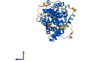 AlphaFold protein structure predicition of Mouse Recombinant Arhgap1 Protein, UniprotID Q5FWK3