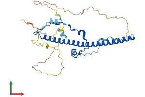 AlphaFold protein structure predicition of Human Recombinant HLF Protein, UniprotID Q16534