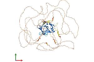 AlphaFold protein structure predicition of Mouse Recombinant Atxn1 Protein, UniprotID P54254