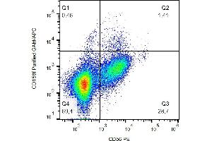 Flow cytometry analysis (surface staining) of human peripheral blood with anti-CD158f (UP-R1) purified / GAM-APC.