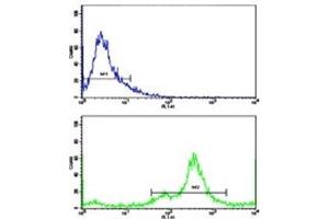 Flow cytometric analysis of MDA-231 cells using NDRG1 antibody (green) compared to a  negative control (blue).
