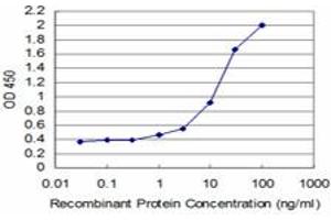 Detection limit for recombinant GST tagged TESK2 is approximately 0. (TESK2 anticorps  (AA 405-542))