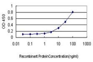 Detection limit for recombinant GST tagged MTAP is approximately 0. (MTAP anticorps  (AA 1-154))