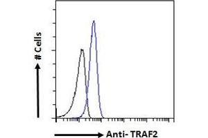 ABIN185596 Flow cytometric analysis of paraformaldehyde fixed A431 cells (blue line), permeabilized with 0.