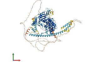 AlphaFold protein structure predicition of Human Recombinant MORC1 Protein, UniprotID Q86VD1
