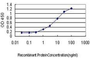 Detection limit for recombinant GST tagged KLK8 is approximately 0.