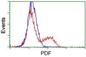 Flow Cytometry (FACS) image for anti-Growth Differentiation Factor 15 (GDF15) antibody (ABIN1500099) (GDF15 anticorps)