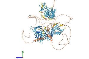 AlphaFold protein structure predicition of Human Recombinant GRIP1 Protein, UniprotID Q9Y3R0