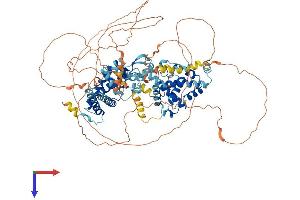 AlphaFold protein structure predicition of Human Recombinant ZFYVE28 Protein, UniprotID Q9HCC9