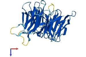 AlphaFold protein structure predicition of Human Recombinant WDR54 Protein, UniprotID Q9H977