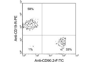 Flow Cytometry (FACS) image for anti-CD90 (THY1) antibody (FITC) (ABIN371030) (CD90 anticorps  (FITC))