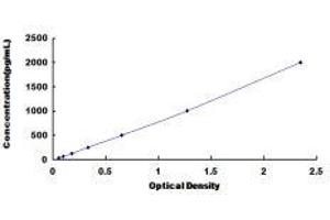 Secreted Frizzled-Related Protein 1 (SFRP1) ELISA Kit