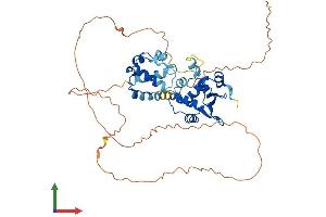 AlphaFold protein structure predicition of Mouse Recombinant Ets1 Protein, UniprotID P27577