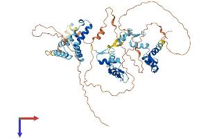 AlphaFold protein structure predicition of Human Recombinant ZNF394 Protein, UniprotID Q53GI3