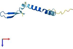 AlphaFold protein structure predicition of Human Recombinant CNPY1 Protein, UniprotID Q3B7I2