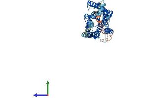 AlphaFold protein structure predicition of Mouse Recombinant Opn1mw Protein, UniprotID O35599