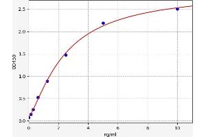 Typical standard curve (NFKBIA Kit ELISA)