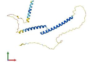 AlphaFold protein structure predicition of Mouse Recombinant Mxi1 Protein, UniprotID P50540