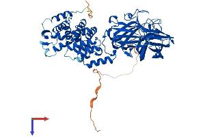 AlphaFold protein structure predicition of Mouse Recombinant Btbd9 Protein, UniprotID Q8C726