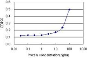 Sandwich ELISA detection sensitivity ranging from 3 ng/mL to 100 ng/mL. (SRPK1 (Humain) Matched Antibody Pair)