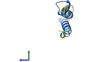 AlphaFold protein structure predicition of Mouse Recombinant Pigy Protein, UniprotID P0C1P0
