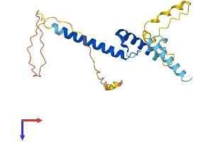 AlphaFold protein structure predicition of Human Recombinant SCX Protein, UniprotID Q7RTU7