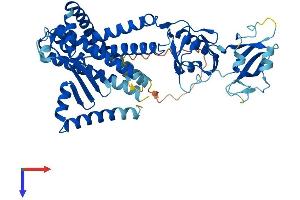 AlphaFold protein structure predicition of Mouse Recombinant Mbtps2 Protein, UniprotID Q8CHX6