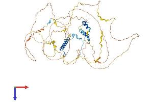 AlphaFold protein structure predicition of Mouse Recombinant Sarg Protein, UniprotID Q8BI29