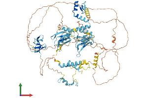 AlphaFold protein structure predicition of Mouse Recombinant Rbm5 Protein, UniprotID Q91YE7